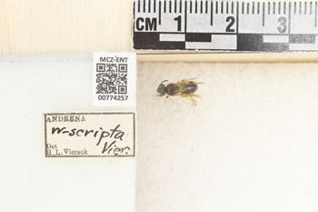 Media type: image;   Entomology 774257 Aspect: Labels